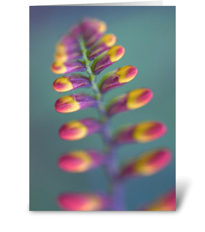 Tropical Flower greeting card