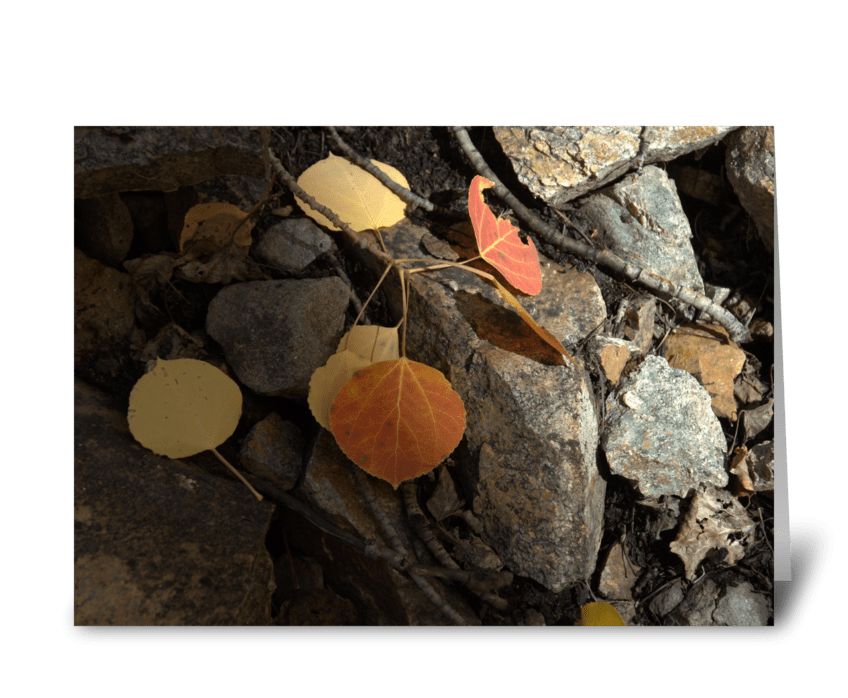 Autumns Forest Floor greeting card