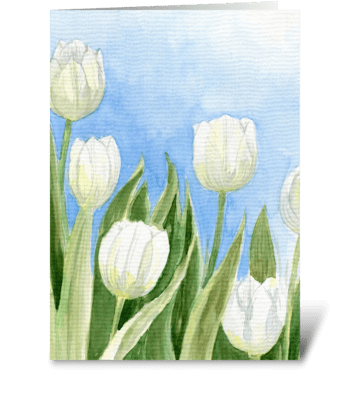White Tulips greeting card