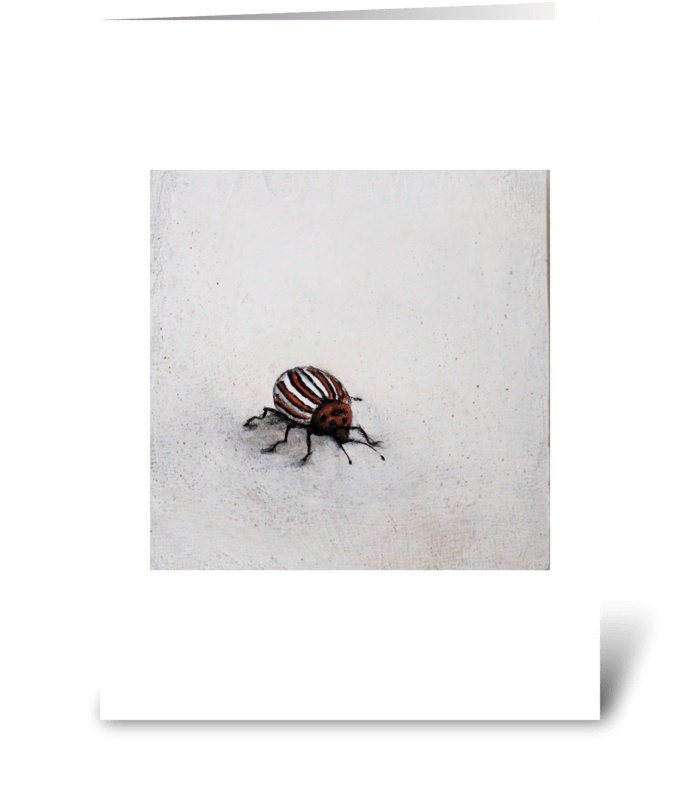 striped beetle greeting card