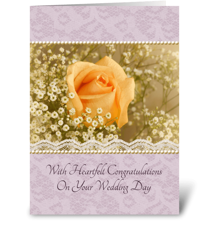 Peach Rose Wedding Congratulations greeting card