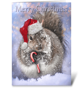 Christmas Squirrel greeting card