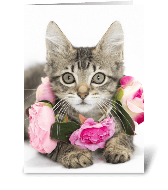 I Love Lucy Kitten greeting card