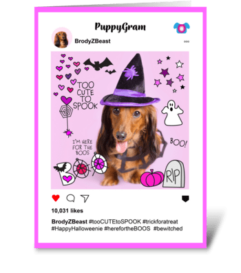 Too Cute To Spook Dachshund PuppyGram greeting card