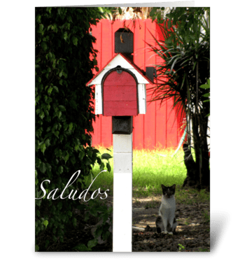 Saludos/Greetings greeting card