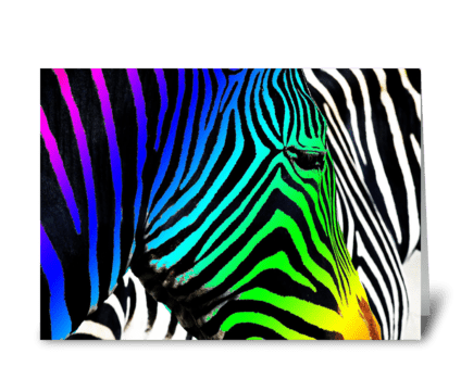 Zebra greeting card