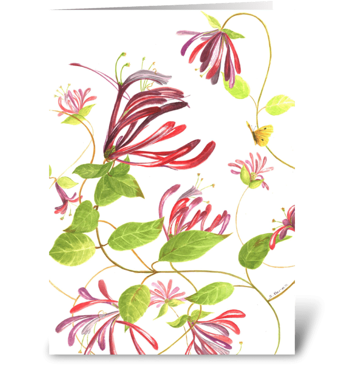 Full Bloom greeting card