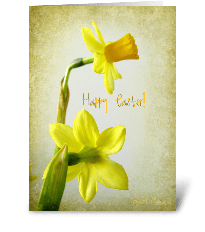 Daffodils with texture greeting card