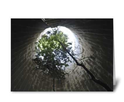 Tree In A Silo greeting card