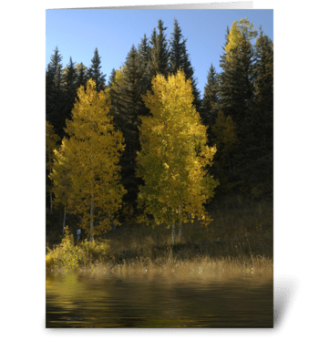 Fall Reflections greeting card