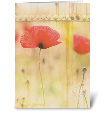 Red Poppies greeting card