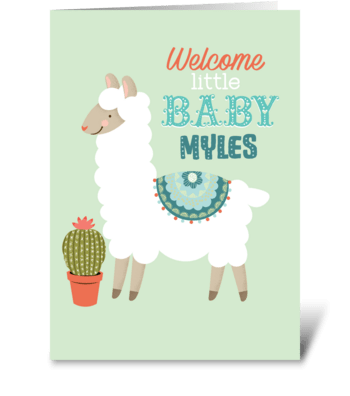 Baby Lama greeting card