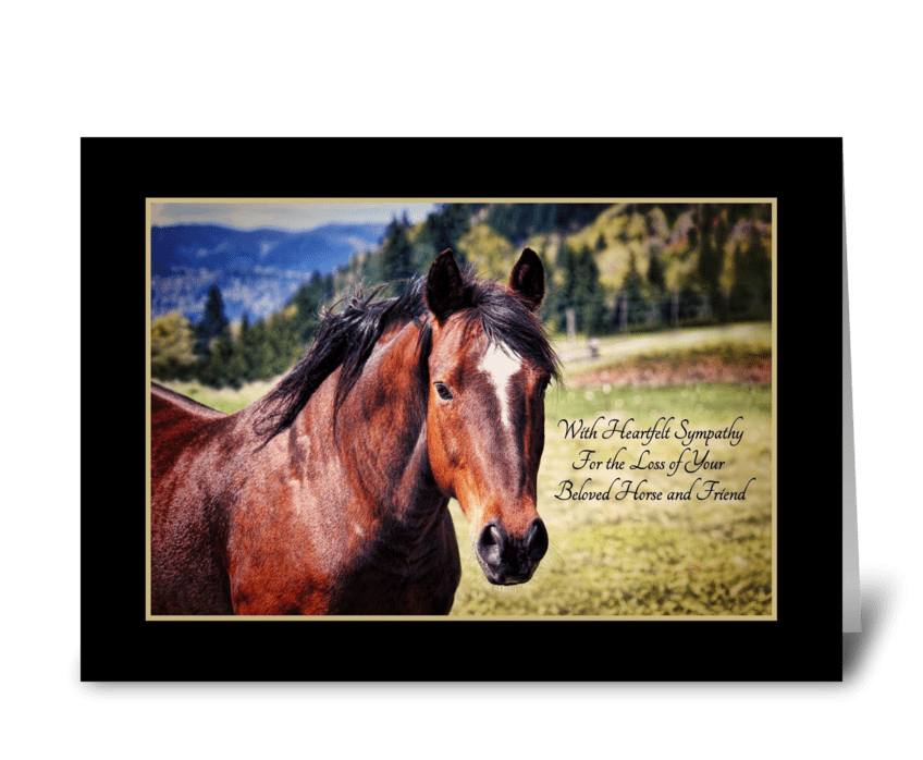 Pet Sympathy Loss of Horse Beautiful Bay greeting card