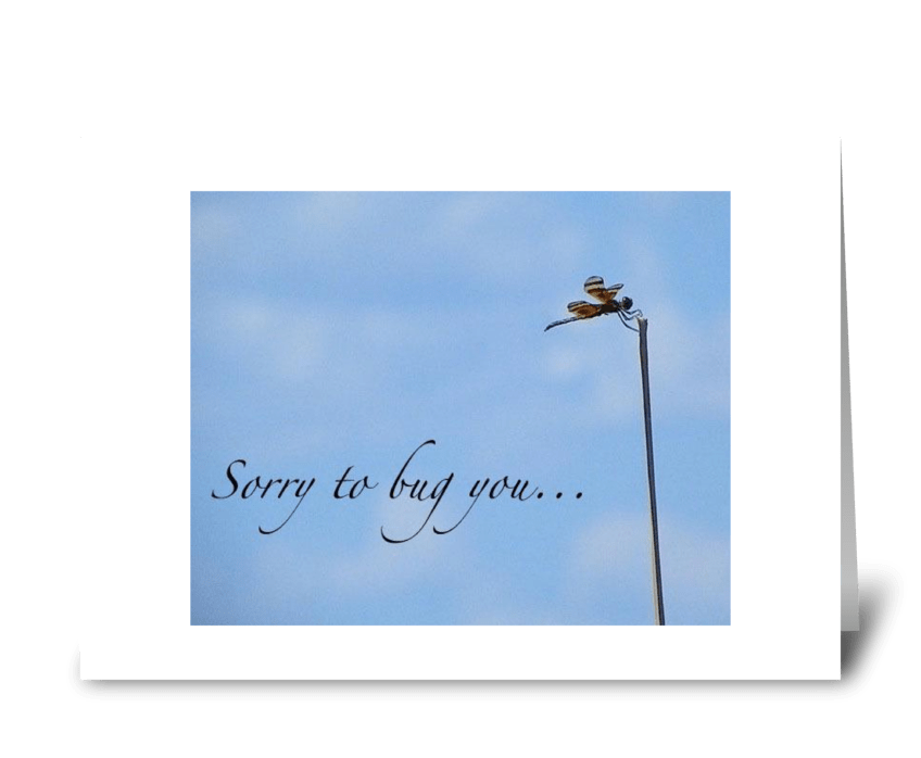 Sorry to bug you... greeting card