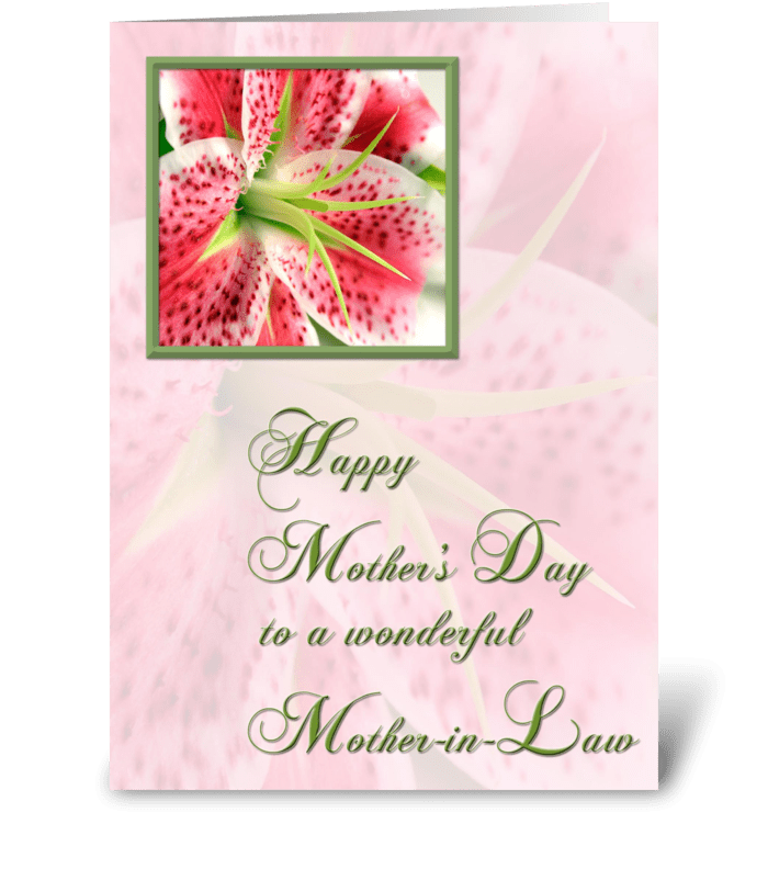 Mother-in-Law, Stargazer Lily greeting card