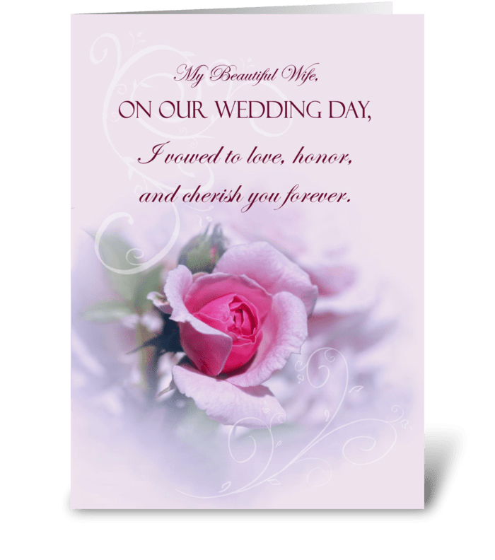 Pink Rose Wedding Anniversary For Wife greeting card