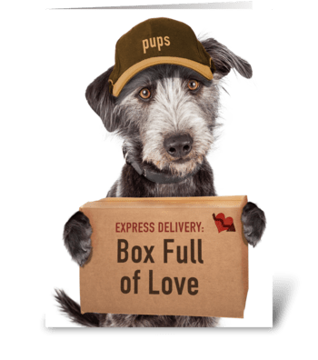Express Delivery Box Of Love From Dog greeting card