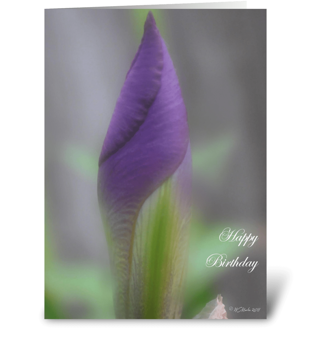 Purple Lily Bud Birthday Card Send This Greeting Card Designed By Wim Designs Greeting Cards Card Gnome