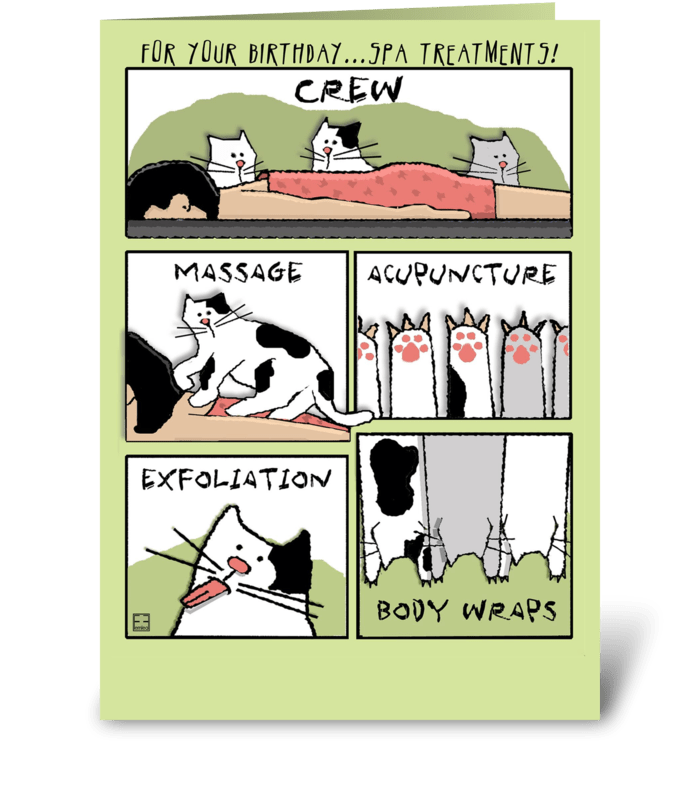 Spa Treatments for Your Birthday, Cats greeting card