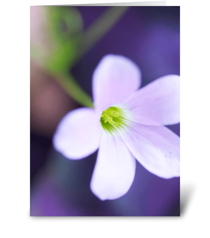Glow Flower greeting card