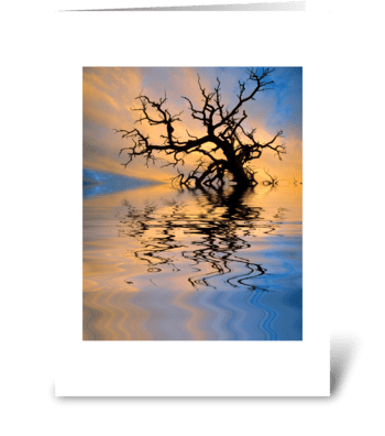Reflections greeting card