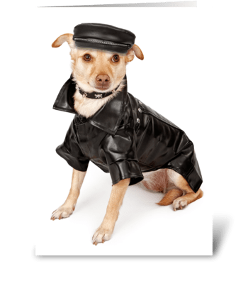 Funny Apology With Biker Dog greeting card