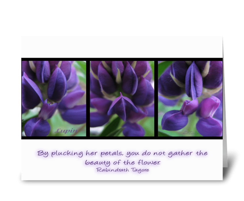 Beauty of the flower (Inspirational) greeting card