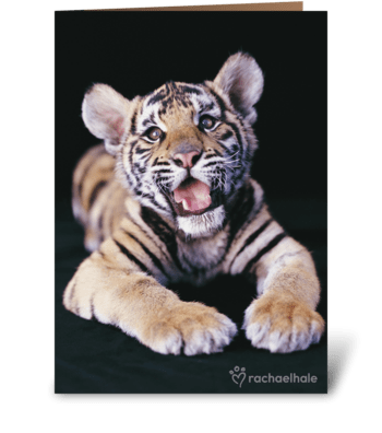 Happy Birthday Tiger greeting card