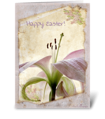 Vintage Lily greeting card