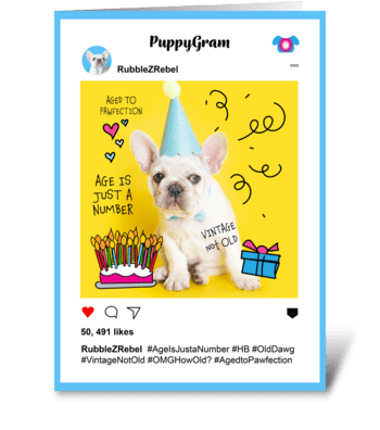 Age is Just A Number Birthday PuppyGram greeting card