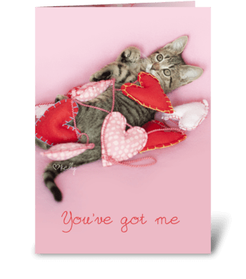 You've Got me Wrapped up in Love Kitten greeting card