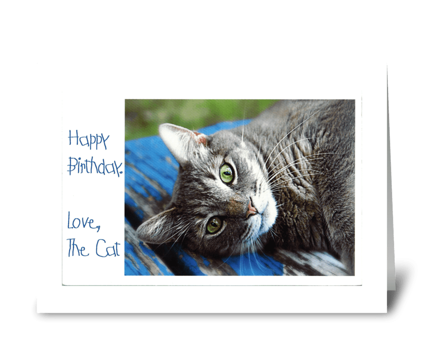 Love, The Cat greeting card