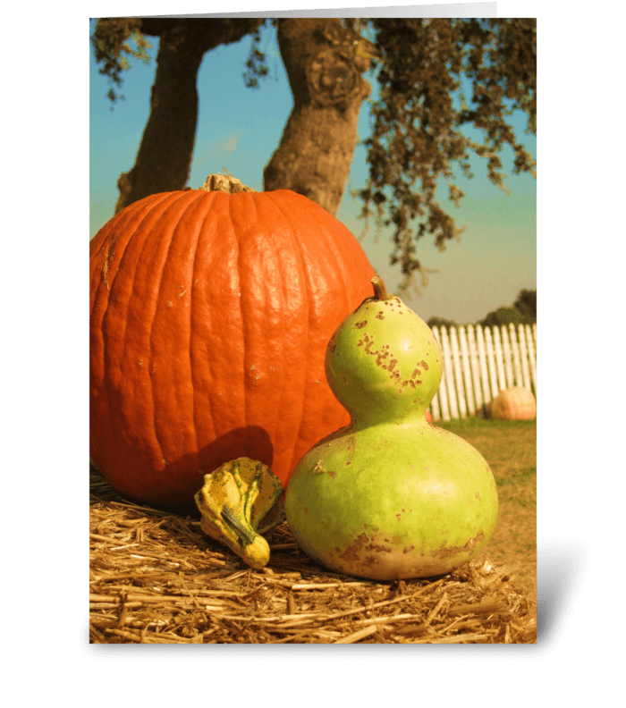 Fall Harvest greeting card