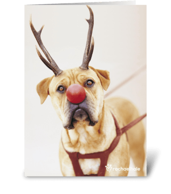 A Red Nose Will Get You Everywhere greeting card