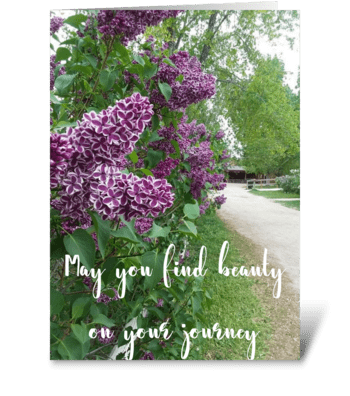Wishing you beauty greeting card