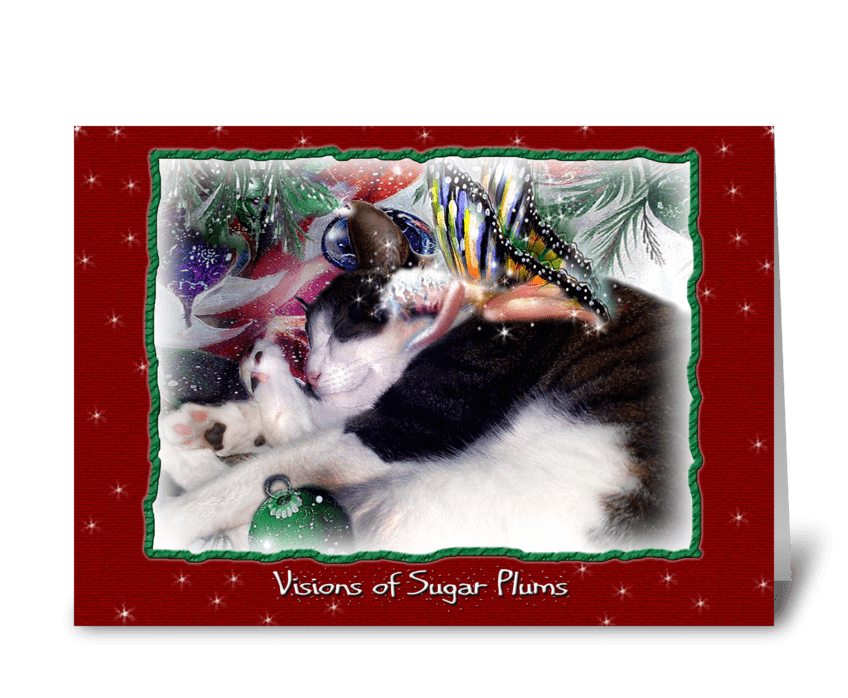 Dreaming of Sugar Plums, Kitty and Faery greeting card