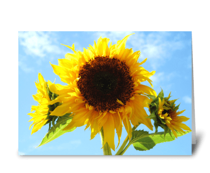 Cheerful Sunflowers greeting card