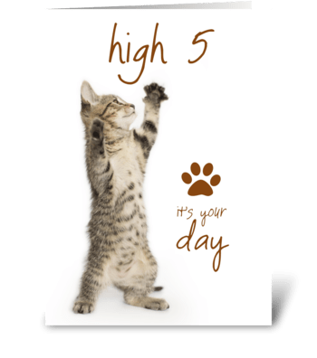 High Five Kitten's Special Day greeting card