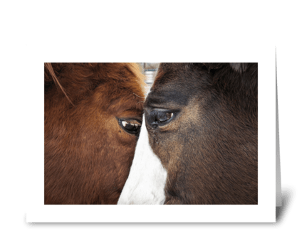 Two of Us greeting card