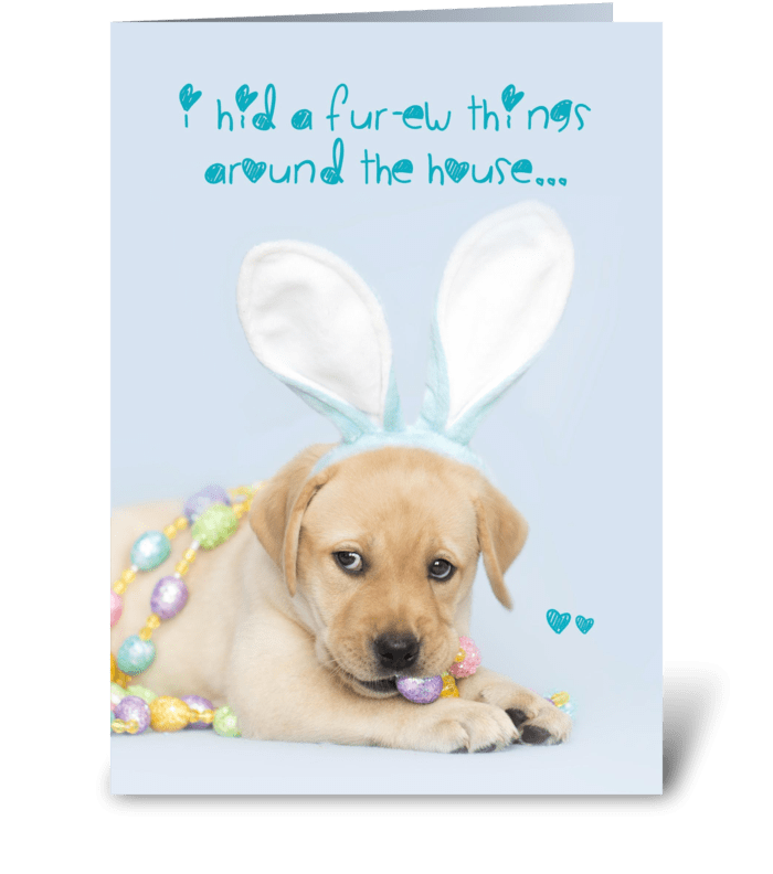 Yellow Labrador Retriever Easter Bunny greeting card