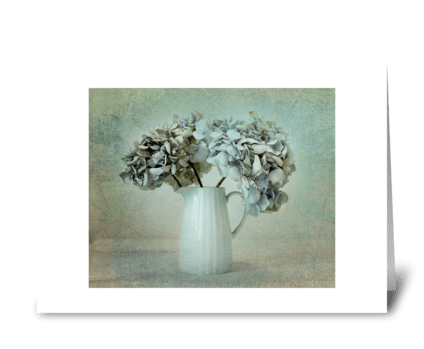 Hydrangea greeting card