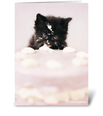 Let there be cake! greeting card