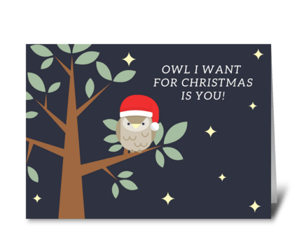 Romantic owl Christmas card  greeting card