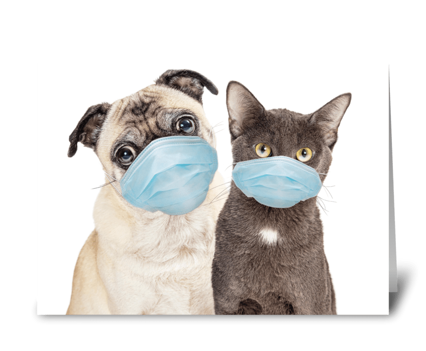 Funny Dog and Cat Protected from Germs greeting card