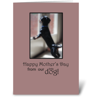 Mother’s Day Thanks From Dog Watching greeting card