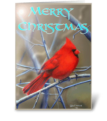 Christmas Cardinal greeting card