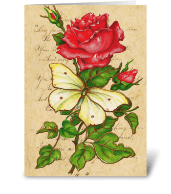 Vintage Rose & Butterfly greeting card