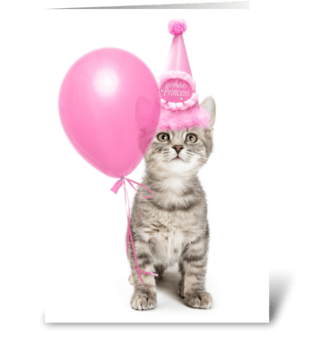 Pretty pink princess birthday kitten greeting card