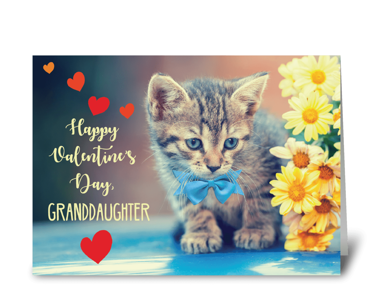 Granddaughter Love Valentine Kitten - Send this greeting card designed by Sandra Rose Designs - Card Gnome
