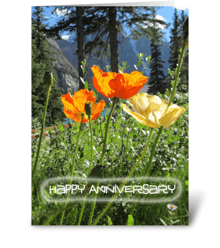 Wild Poppies greeting card